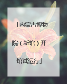 内蒙古博物院（新馆）开馆试运行